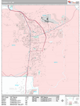 Carson City Wall Map Premium Style